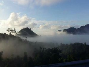 อุทยานแห่งชาติใต้ร่มเย็น จังหวัดสุราษฎร์ธานี แหล่งอาศัยของสัตว์นานาชนิด