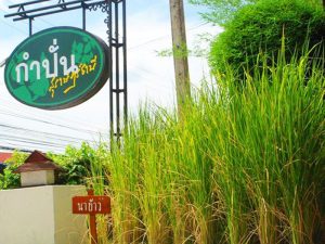 10 ร้านอร่อย ระดับตำนาน ไปเที่ยวจังหวัดสุราษฎร์ธานี ต้องไม่พลาด